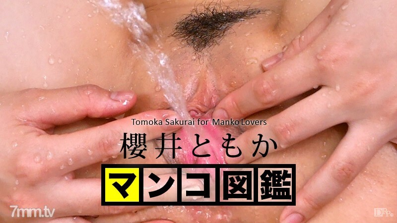 121515-001 Pussy picture book Tomo Sakurai or Tomo Sakurai